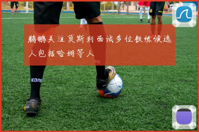 鹈鹕关注莫斯利面试多位教练候选人包括哈姆等人